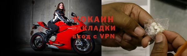 прущие крисы Каменка